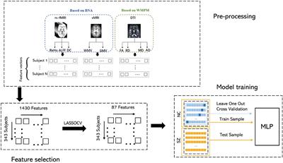 Multimodal Magnetic Resonance Imaging Reveals Aberrant Brain Age Trajectory During Youth in Schizophrenia Patients